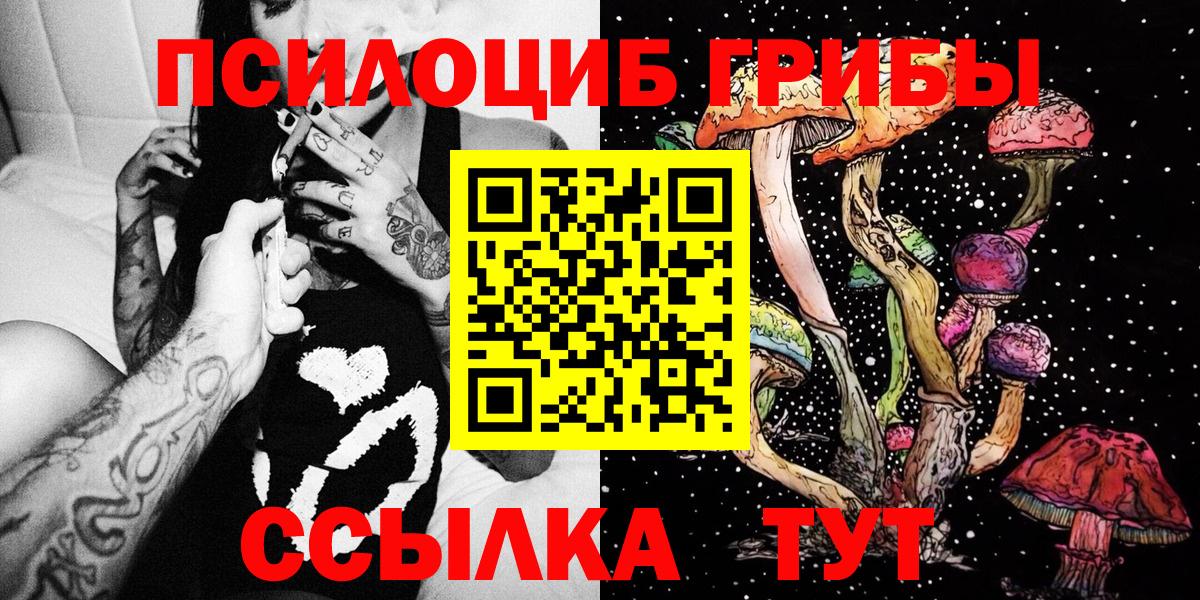 Псилоцибиновые грибы Psilocybine cubensis Кировск