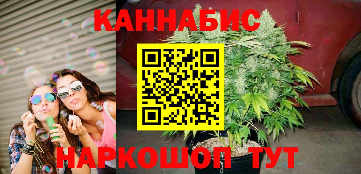 МАРИХУАНА сатива Кировск